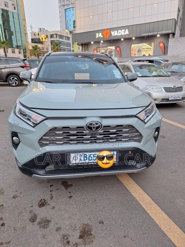 Toyota RAV4 Limited AWD 2020 Gray