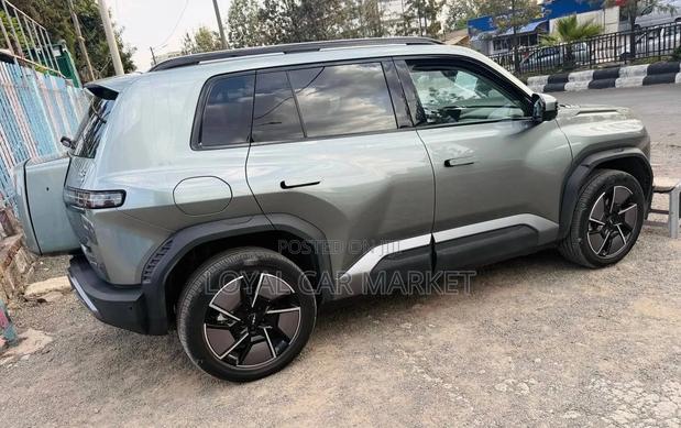 New BYD Leopard 3 2025 Gray