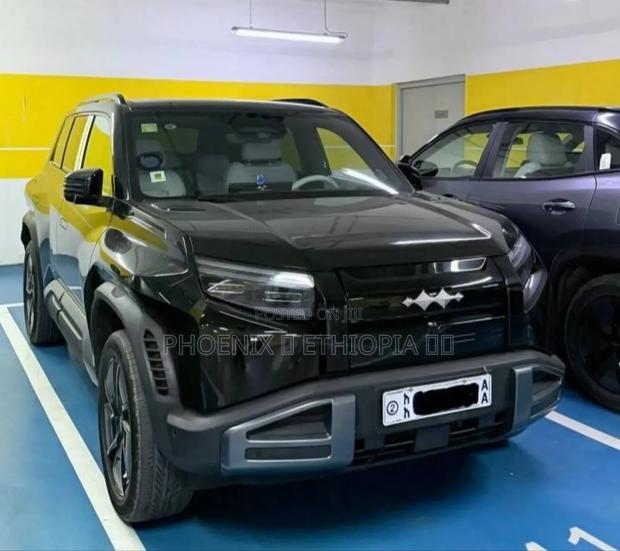 BYD Leopard 3 2025 Black