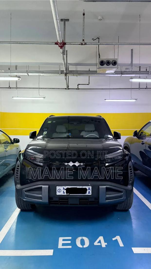 New BYD Leopard 3 2025 Black