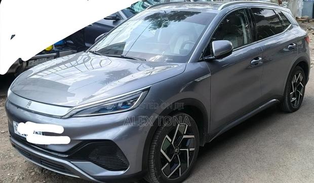 BYD Yuan Plus 2024 Gray