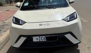 BYD Seagull 2024 White for sale