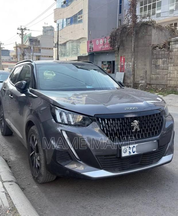 Peugeot 2008 2022 Gray