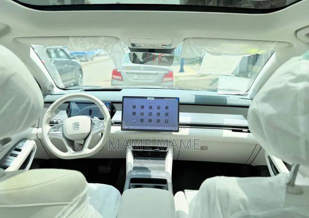 New BYD Tang EV 2025 Gray