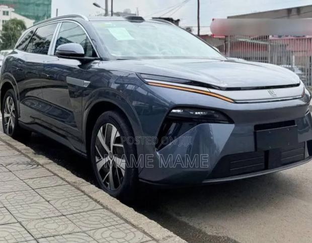New BYD Tang EV 2025 Gray