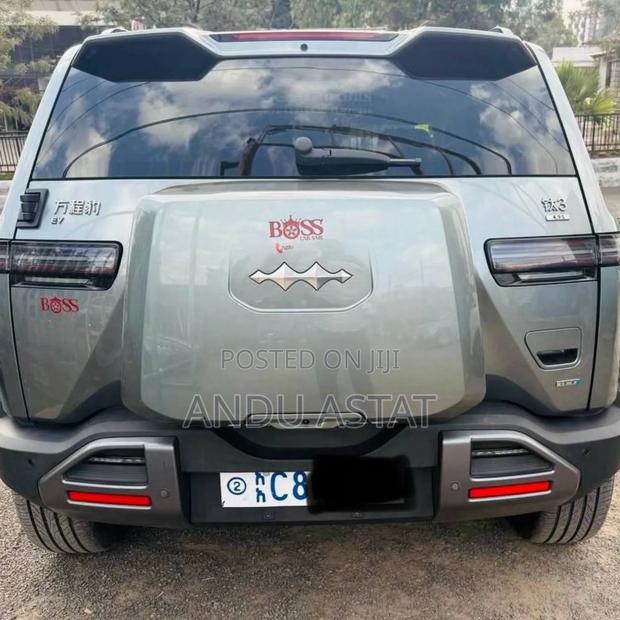BYD Leopard 3 2025 Green