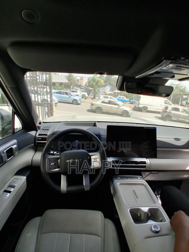 New BYD Leopard 7 2025 Green