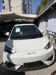New BYD Seagull 2025 for sale