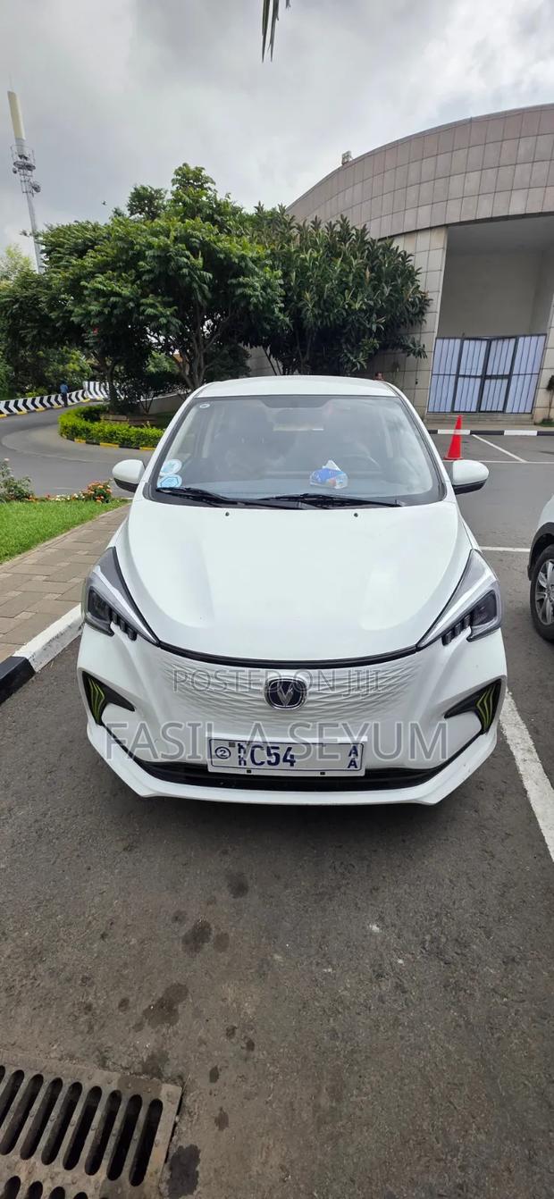 Changan BenBen 2024 White