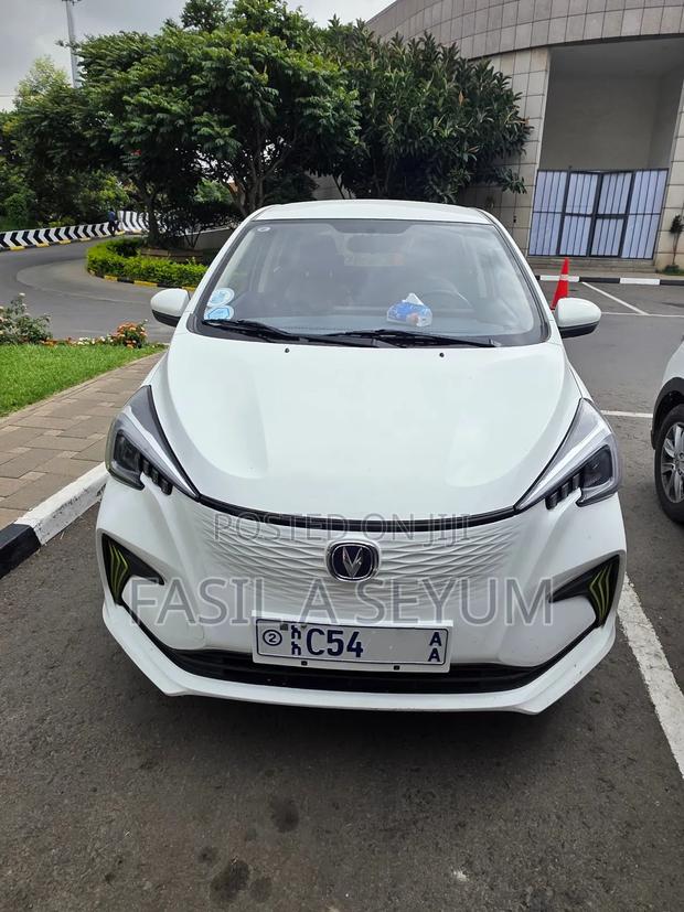 Changan BenBen 2024 White