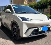 BYD Seagull 2024 White for sale