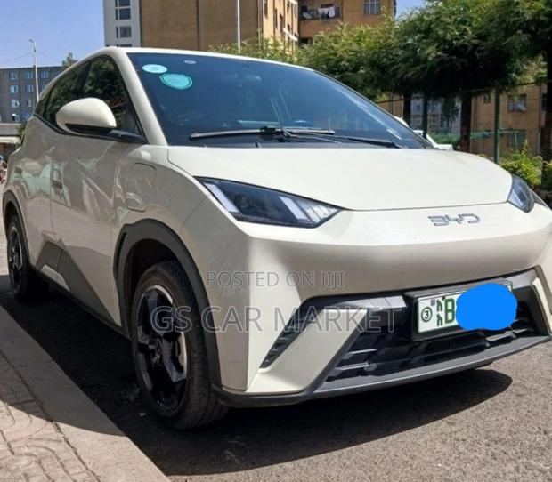 BYD Seagull 2024 White