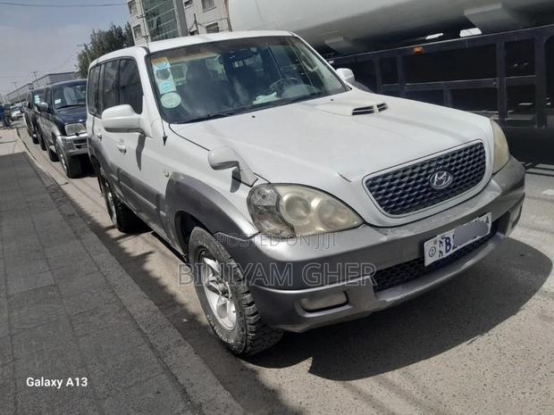 Hyundai Terracan 2005 White