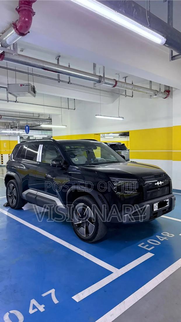 BYD Leopard 3 2025 Black