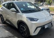 BYD Seagull 2024 White for sale