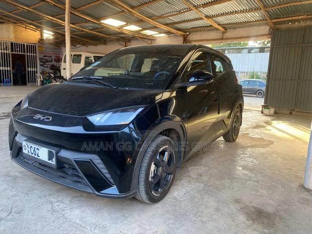 BYD Seagull 2024 Black