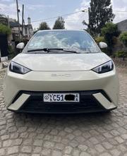 BYD Seagull 2024 Brown for sale