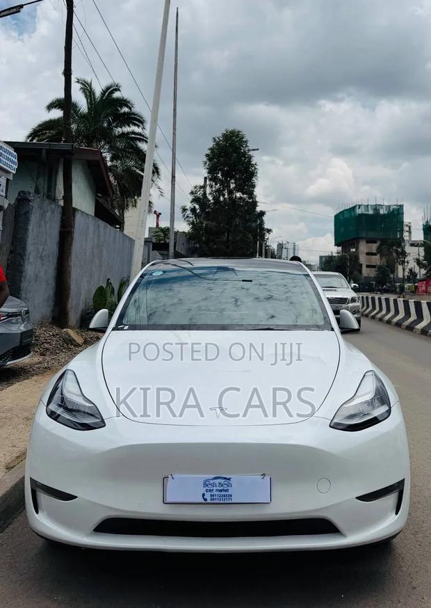 Tesla Model Y 2023 White