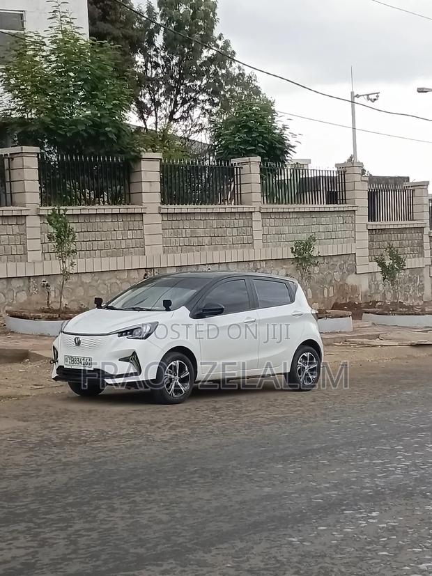 Changan BenBen 2024 White