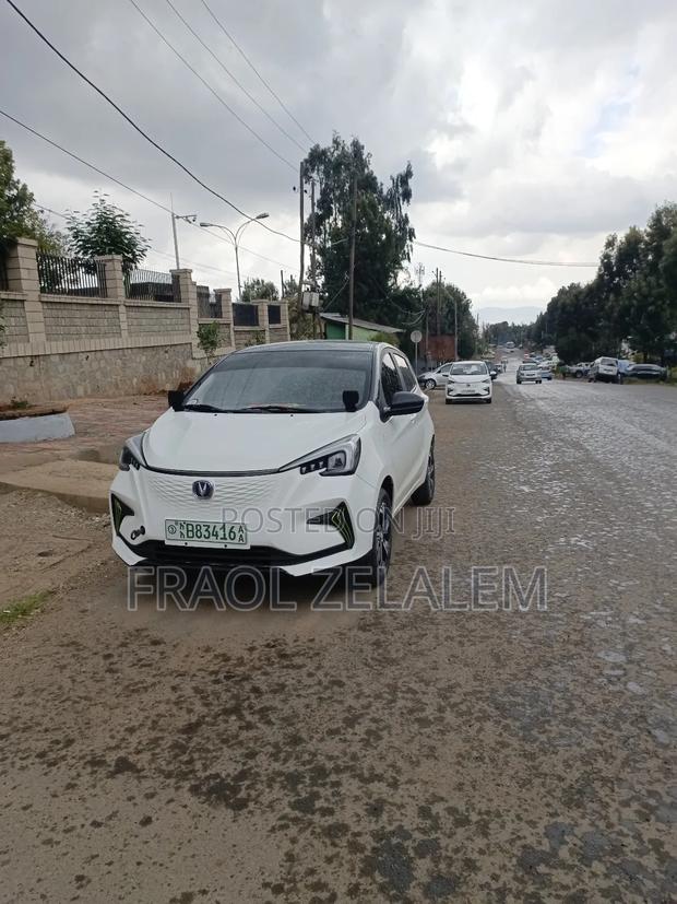 Changan BenBen 2024 White