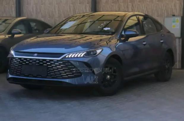 New BYD Qin Plus DM-i 2025 Gray