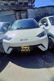 New BYD Seagull 30 kWh FWD 2024 White for sale