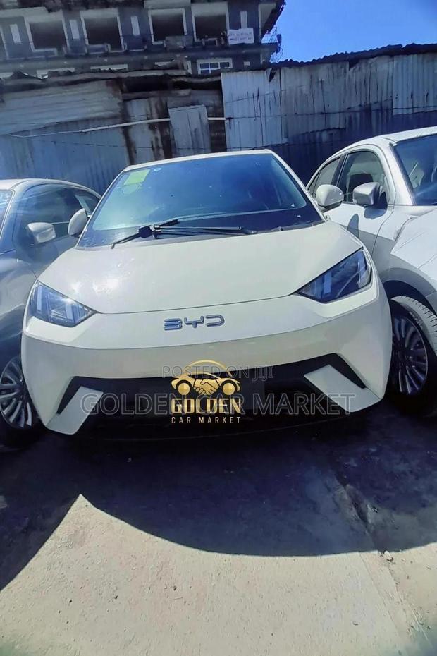 New BYD Seagull 30 kWh FWD 2024 White