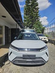 New BYD Yuan Up 2025 White for sale