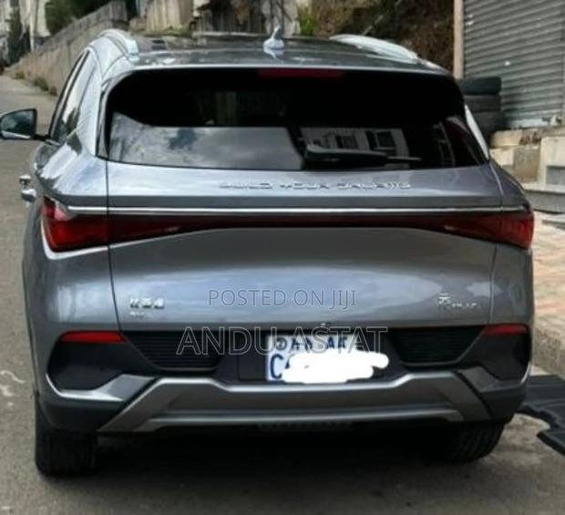 BYD Yuan Up 32 kWh FWD 2024 Gray