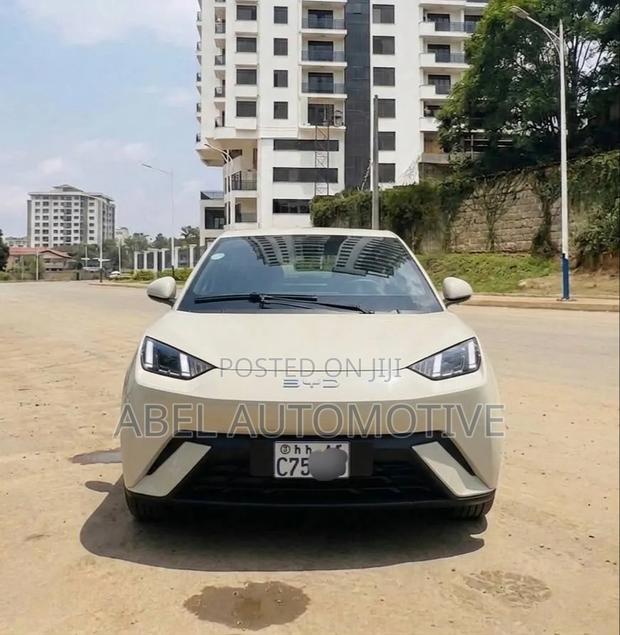 BYD Seagull 2025 Off white