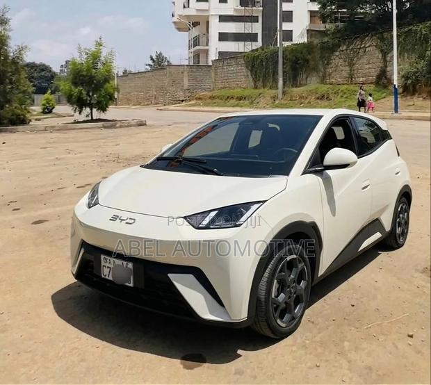 BYD Seagull 2025 Off white