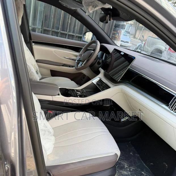 BYD Song Plus 2024 Gray