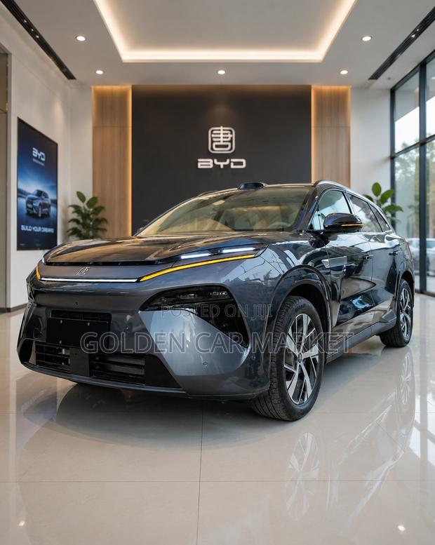 New BYD Tang DM-i 2025 Silver