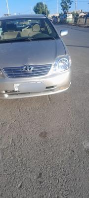 Toyota Corolla 2003 Gold for sale