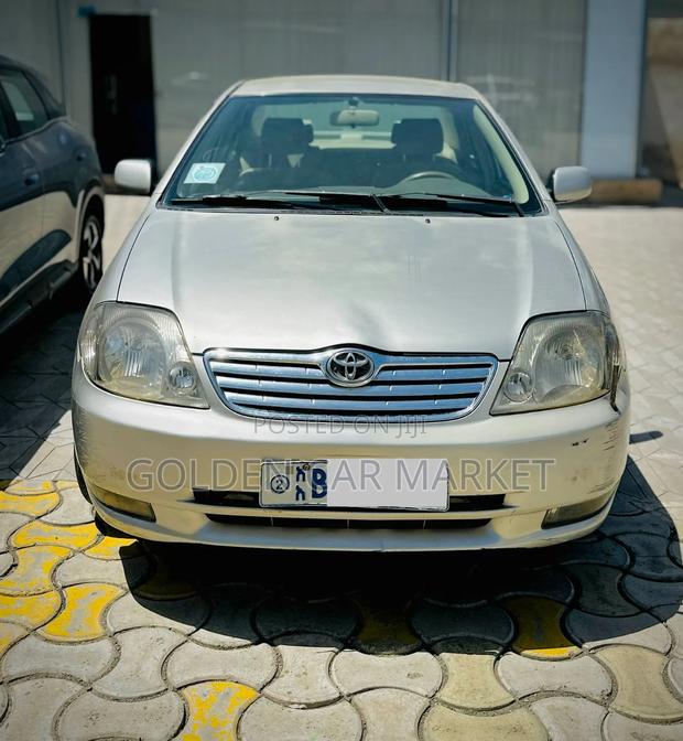 Toyota Corolla 2003 Gray