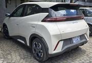 BYD Seagull 2025 White for sale