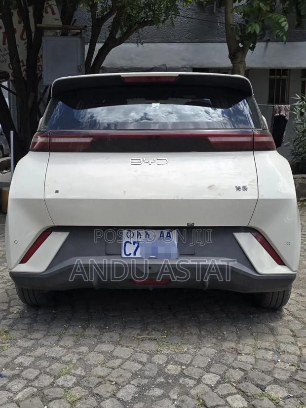 BYD Seagull 2025 White