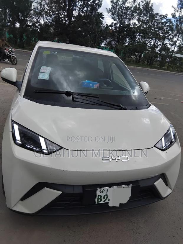 BYD Seagull 2025
