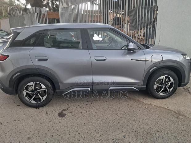 BYD Yuan Up 2024