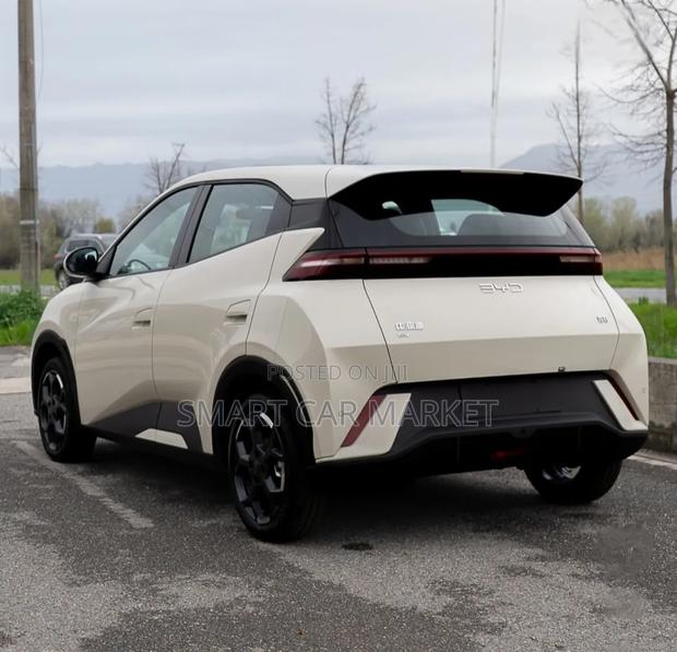 New BYD Seagull 2025 White