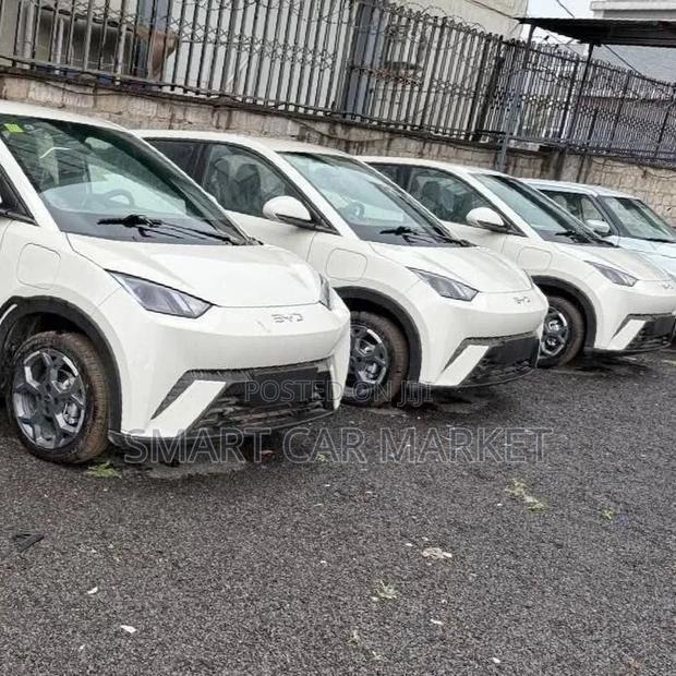 New BYD Seagull 2025 White