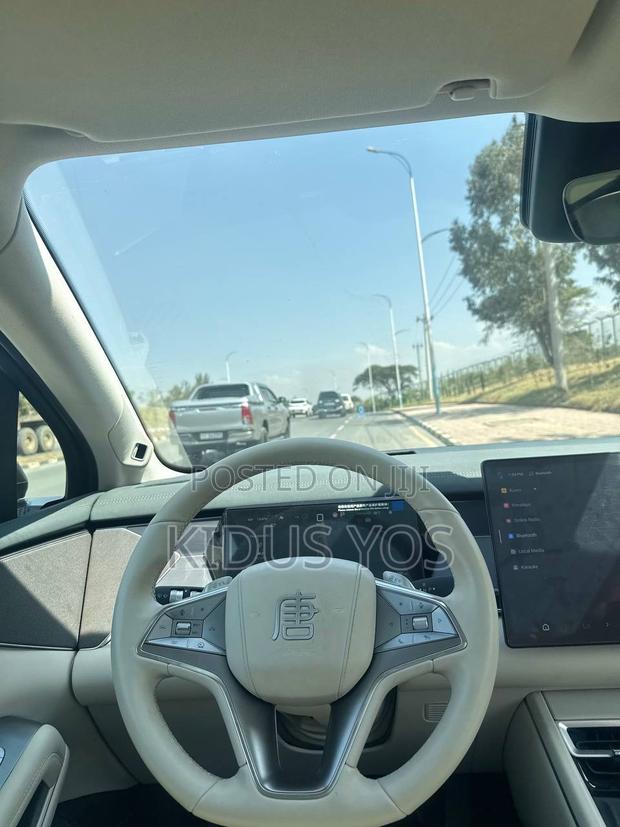 BYD Tang EV 2025
