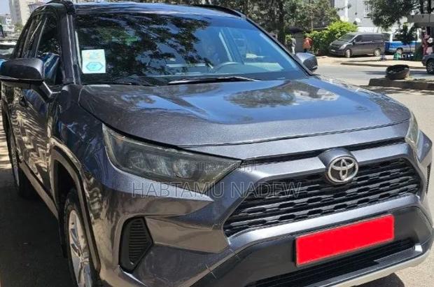 Toyota RAV4 2019 Blue