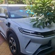 BYD Yuan Up 2025 White for sale