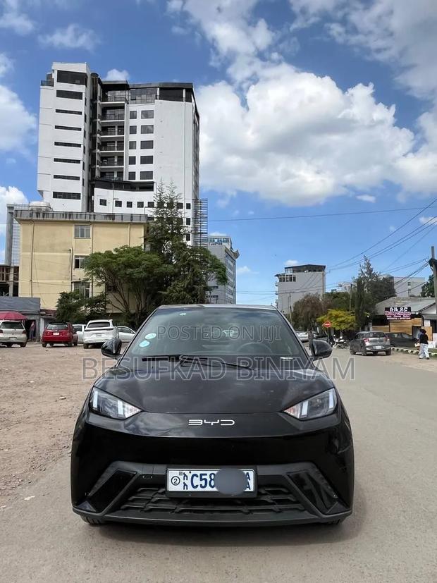 New BYD Seagull 2024 Black