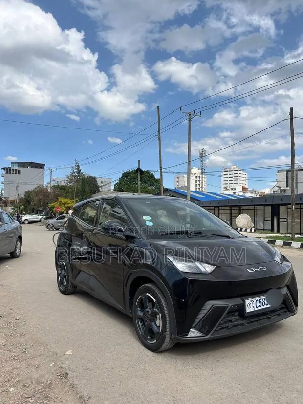 New BYD Seagull 2024 Black