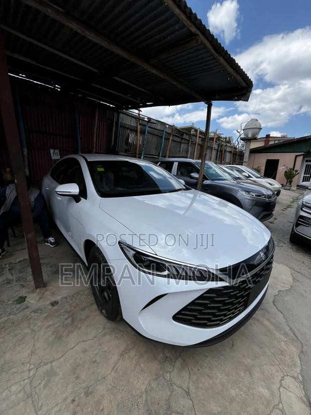 New BYD Qin Plus DM-i 2025 White