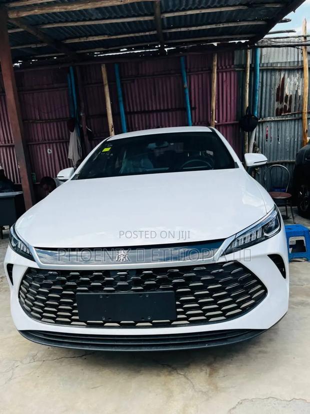 New BYD Qin Plus DM-i 2025 White
