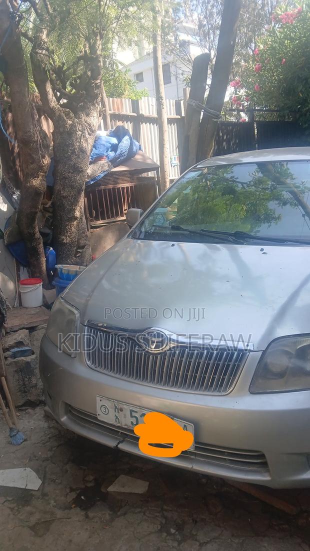 Toyota Corolla 2005 Pearl