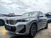 BMW iX 2025 Gray for sale